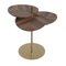 Leaf 3 Side Table by Mathias De Ferm 4