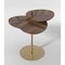 Leaf 3 Side Table by Mathias De Ferm 2