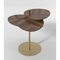 Leaf 3 Side Table by Mathias De Ferm, Image 2