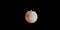 Lámpara Planet de Roxane Lahidji, Imagen 3