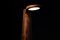 Studiolampe aus Eiche von Isato Prugger 6