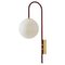 Red Brass Wall Lamp 06 by Magic Circus Editions 1