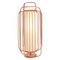 Copper and Salmon Jules Table Lamp by Dooq 1