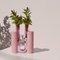 Vase Rose-Rose Cochlea dello Sviluppo Soils Edition par Coki Barbieri 3