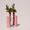 Pink-Pink Cochlea dello Sviluppo Soils Edition Vase by Coki Barbieri 5
