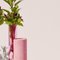 Vase Rose-Rose Cochlea dello Sviluppo Soils Edition par Coki Barbieri 4
