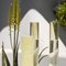 Yellow-Yellow Cochlea Della Consapevolezza Soils Edition Vase by Coki Barbieri 3