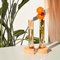 Orange-Orange Cochlea Del Risveglio Soils Edition Vase von Coki Barbieri 4