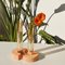 Orange-Orange Cochlea Del Risveglio Soils Edition Vase von Coki Barbieri 3