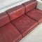 Cherry Saratoga 3-Seater Sofa attributed to Massimo & Lella Vignelli for Poltronova, 1960s-1970s 4
