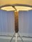 Lámpara de pie vintage, años 50, Imagen 1