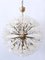 Grand Lustre Dandelion à 33 Lampes par Emil Stejnar pour Rupert Nikoll, 1950s 5