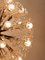 Lampadario grande a 33 luci Dandelion di Emil Stejnar per Rupert Nikoll, anni '50, Immagine 14