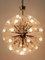 Grand Lustre Dandelion à 33 Lampes par Emil Stejnar pour Rupert Nikoll, 1950s 2