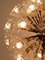 Großer Löwenzahn Kronleuchter mit 33 Leuchten von Emil Stejnar für Rupert Nikoll, 1950er 18