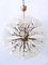 Large 33-Light Dandelion Chandelier by Emil Stejnar for Rupert Nikoll, 1950s, Image 10