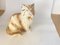 Large Italian Cat Figurines in Ceramic, 1970s, Set of 2 17