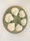 Austernteller aus grün-weißer Majolika von Longchamp, 19. Jh., 2er Set 11