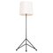 Swedish Floor Lamp, 1960s, Image 1