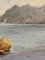 Italo Cenni, Lago Maggiore, de finales del siglo XIX, óleo sobre cartón, Imagen 4
