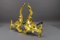 French Rococo Style Gilt Bronze and Iron Firedogs, 1890s, Set of 2 3