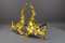 Perros de fuego franceses estilo rococó de hierro y bronce dorado, década de 1890. Juego de 2, Imagen 3
