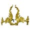 French Rococo Style Gilt Bronze and Iron Firedogs, 1890s, Set of 2, Image 1
