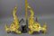 French Rococo Style Gilt Bronze and Iron Firedogs, 1890s, Set of 2 20