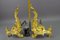 French Rococo Style Gilt Bronze and Iron Firedogs, 1890s, Set of 2, Image 20