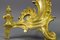 French Rococo Style Gilt Bronze and Iron Firedogs, 1890s, Set of 2 5