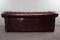 Rotes Chesterfield-Sofa mit Rindern 3