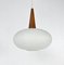Vintage NG74 30 Pendant Lamp attributed to Louis Kalff for Philips, 1950s 7