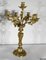 End of 19th Century Louis XV Gilded Bronze Candelabra, Image 14