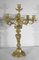 End of 19th Century Louis XV Gilded Bronze Candelabra 1