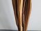 Mid-Century French Floor Lamp in Driftwood & Mahogany, 1950s 4