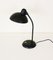 Model 6556 T Desk Lamp by Christian Dell for Kaiser Idell / Kaiser Leuchten 5