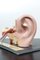 Modelle des menschlichen Ohrs von Somso, 2 . Set 2