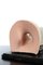 Modelos del oído humano de Somso. Juego de 2, Imagen 14