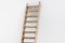 20th Century Art Populaire Rustic Ladder, France 2