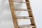 20th Century Art Populaire Rustic Ladder, France 6