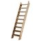 20th Century Art Populaire Rustic Ladder, France 1