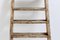 20th Century Art Populaire Rustic Ladder, France 8