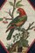 Late 18th Century Micromosaic with Parrot on a Branch in the style of G.Raffael, 1790s 5