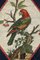 Late 18th Century Micromosaic with Parrot on a Branch in the style of G.Raffael, 1790s, Image 5