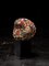 Testa trofeo antropomorfa Bamileke ricamata con perle di vetro europee, Immagine 2