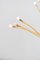 Lampadaire Stranne Vintage de Ikea, 2000s 6