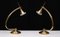 Holtkotter Brass Halogen Table Lamps, Germany, 1985, Set of 2 8