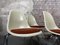 DSS Fiberglas Chairs by Charles & Ray Eames for Vitra, 4 Set, Set of 4, Image 7