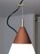 Ovoid Pendant in White Opalin Glass and Brown Wood by Goffredo Reggiani, 1960 2