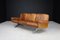 Ds-31 3-Sitzer Sofa aus Patiniertem Cognac Leder von de Sede, Schweiz, 1970er 2